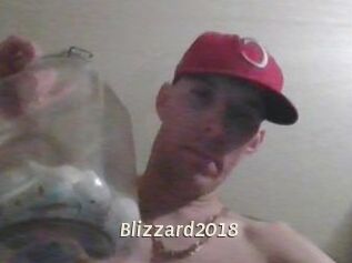 Blizzard2018