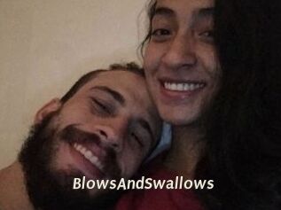 BlowsAndSwallows