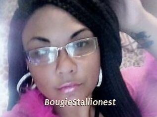 BougieStallionest