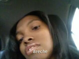 Breche