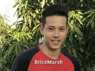 BriceMarsh