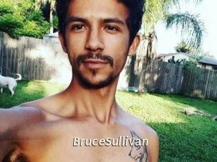 Bruce_Sullivan