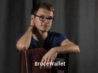 BruceWallet