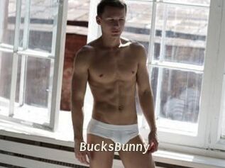 BucksBunny