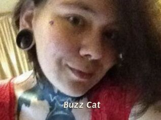Buzz_Cat