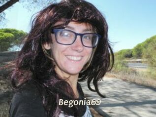 Begonia69