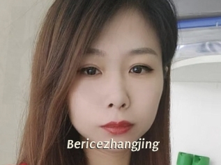 Bericezhangjing