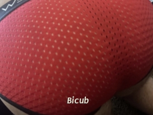 Bicub