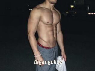 Bigangell18