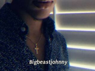 Bigbeastjohnny