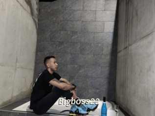Bigboss22
