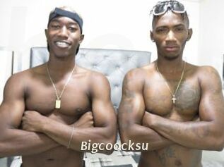 Bigcoocksu