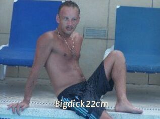 Bigdick22cm