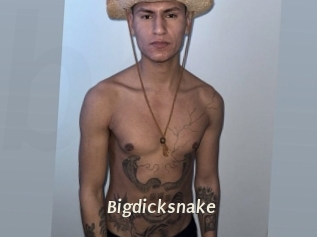Bigdicksnake