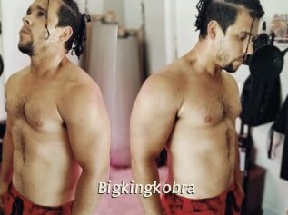 Bigkingkobra