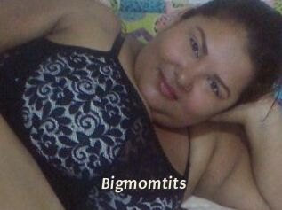 Bigmomtits