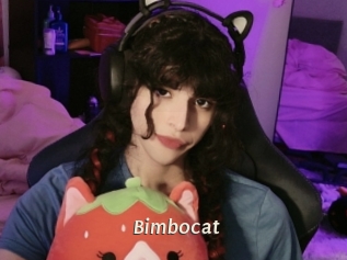 Bimbocat