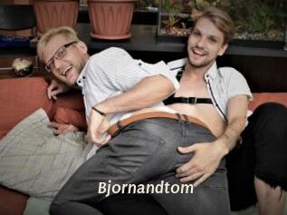 Bjornandtom