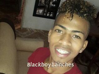 Blackboy12inches