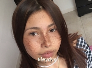Bleydys