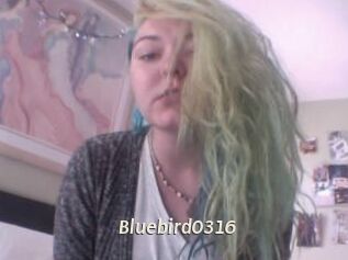 Bluebird0316