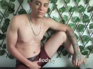 Bodsey