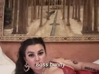 Boss_bunny