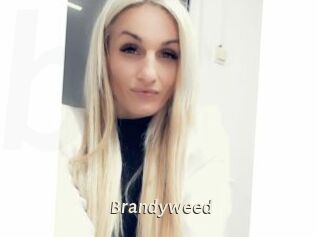 Brandyweed