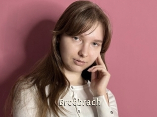 Breebrach