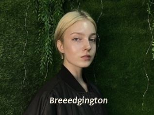 breeedgington Blog éjac