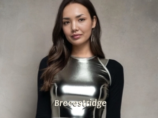 Breeestridge