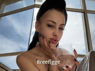 Breefigge