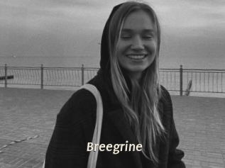 Breegrine