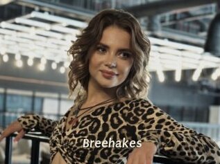 Breehakes