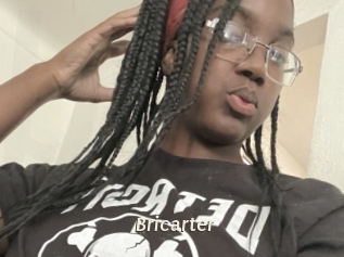 Bricarter