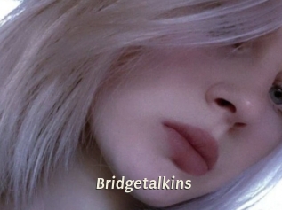 Bridgetalkins