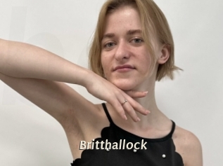 Britthallock