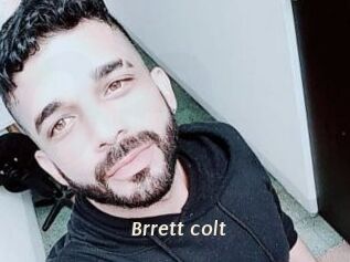 Brrett_colt