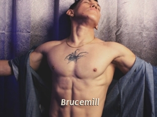 Brucemill