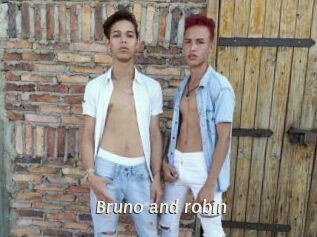 Bruno_and_robin