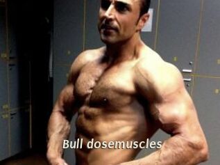 Bull_dosemuscles