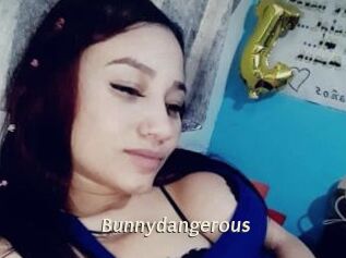 Bunnydangerous