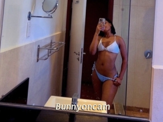 Bunnyoncam