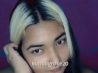 Burningrose20
