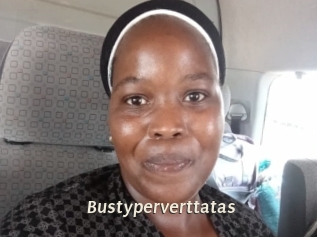 Bustyperverttatas
