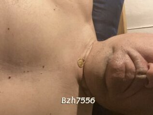 Bzh7556