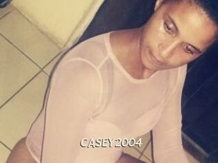 CASEY2004