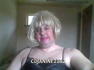 CDJANINE1182 Blog éjac