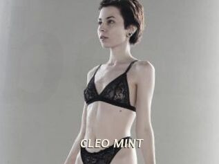 CLEO_MINT