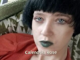 Calendula_Rose
